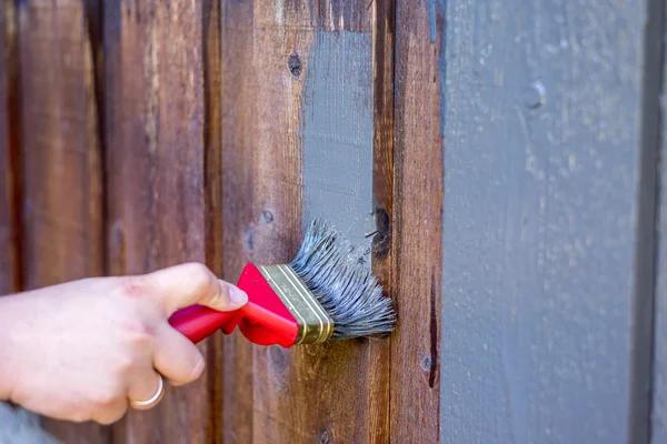 Expert Painting Contractors Near Me for All Property Types