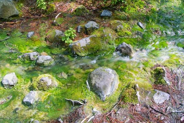Water Leaks Severna Park Services That Help Protect Your Home