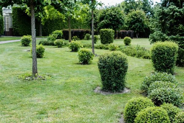 Quality Lawn and Landscaping Services You Can Trust