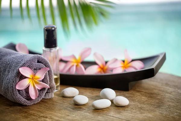 Professional Travel Agency Ballston Spa Services